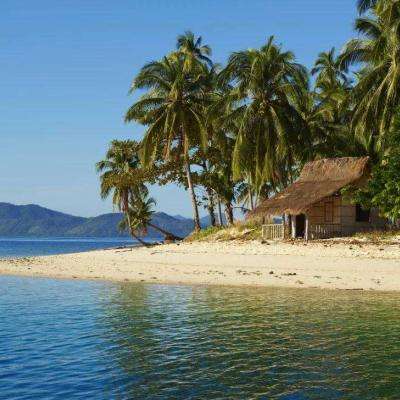 足球赌注软件手机app下载